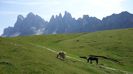 od-val-gardena-groedental-(64) (jpg) od-val-gardena-groedental-(64) (jpg)