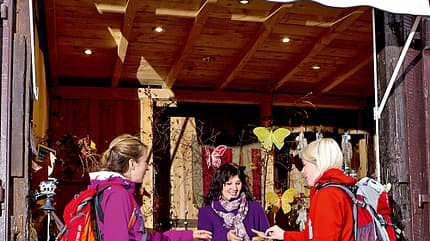 od-2012-elsass-vogesen-frankreich-herbst-(7) (jpg) od-2012-elsass-vogesen-frankreich-herbst-(7) (jpg)
