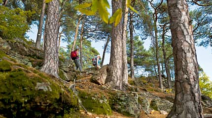 od-2012-elsass-vogesen-frankreich-herbst-(13) (jpg) od-2012-elsass-vogesen-frankreich-herbst-(13) (jpg)