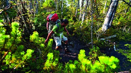 OD-0113-Kanada-NorthCoastTrail-6 (jpg) OD-0113-Kanada-NorthCoastTrail-6 (jpg)