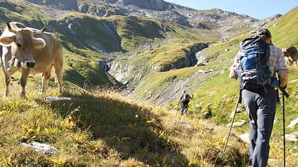 OD-Vier-Quellen-Weg-004 (jpg) OD-Vier-Quellen-Weg-004 (jpg)