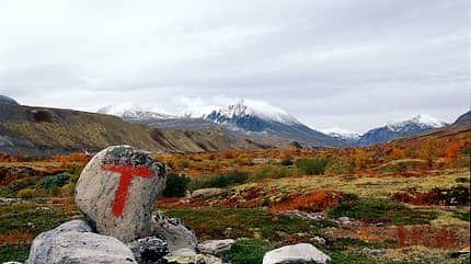 OD-Norwegen-Special-TMarkierung-Anders-Gjengedal (jpg) OD-Norwegen-Special-TMarkierung-Anders-Gjengedal (jpg)