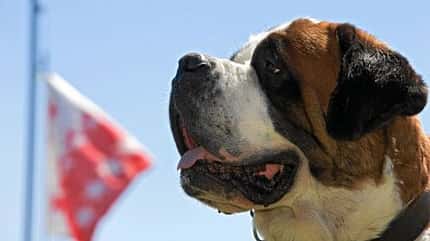 OD Wallis Pays du St-Bernard OD Wallis Pays du St-Bernard