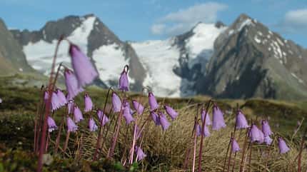 OD Oetztal-Touren Ötztal 1s (jpg) OD Oetztal-Touren Ötztal 1s (jpg)