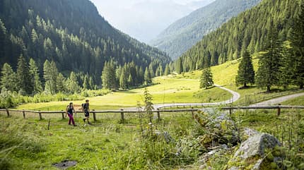 od-2019-valdisole-trentino-JKlatt_278 (jpg) od-2019-valdisole-trentino-JKlatt_278 (jpg)