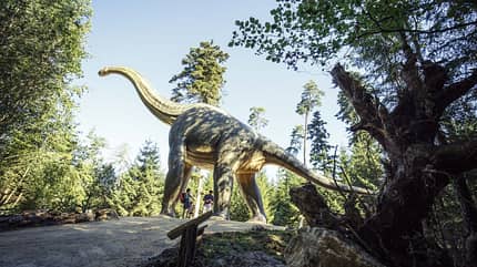 od-2019-bayern-family-npa-0367-naturpark-altmuehltal-dinosaurier-museum(jpg) od-2019-bayern-family-npa-0367-naturpark-altmuehltal-dinosaurier-museum(jpg)