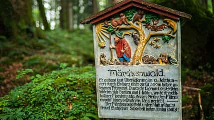 od-2019-bayern-family-märchenwald1-ruhpolding-tourismus(pg) od-2019-bayern-family-märchenwald1-ruhpolding-tourismus(pg)