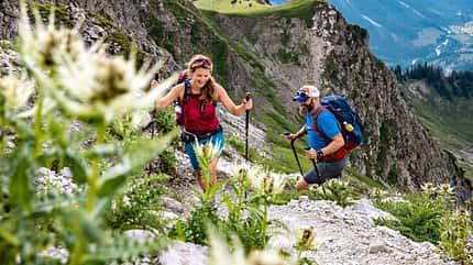 od-1018-oberallgaeu-BastianMorell-tk-2 (jpg) od-1018-oberallgaeu-BastianMorell-tk-2 (jpg)