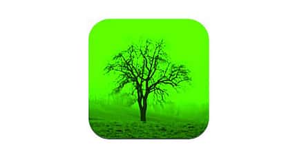 OD-1012-Apps-Baumbestimmung (jpg) OD-1012-Apps-Baumbestimmung (jpg)