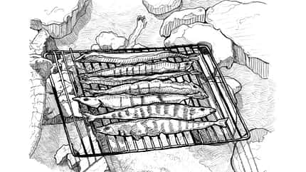 OD 0318 Know How Fisch am Feuer Grillen Illustration OD 0318 Know How Fisch am Feuer Grillen Illustration