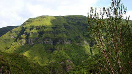 od-2015-madeira1 (jpg)