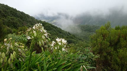 od-2015-madeira6 (jpg) od-2015-madeira6 (jpg)
