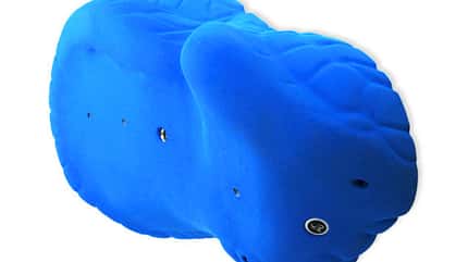 KL Big Bleau Klettergriff Sloper von Expression Holds KL Big Bleau Klettergriff Sloper von Expression Holds
