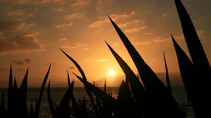 OD La Reunion Insel Tropen Meer OD La Reunion Insel Tropen Meer