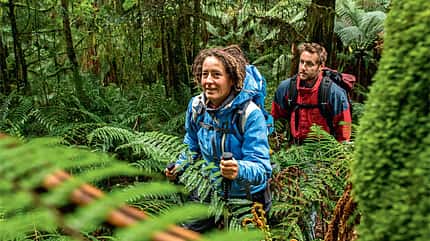 OD 1214 Traumziel Tasmanien Australien Trekking Treks OD 1214 Traumziel Tasmanien Australien Trekking Treks