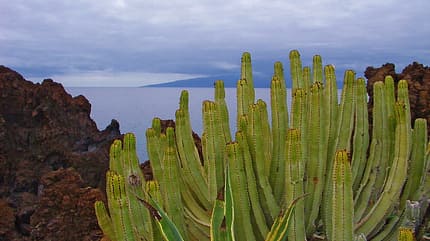 OD La Gomera Kanaren Insel Meer pixelio OD La Gomera Kanaren Insel Meer pixelio