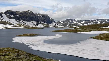 OD 2016 Hardangervidda Norwegen Boris Gnielka Kathleen Richter Trekking Hund Zelten Wildnis 4 OD 2016 Hardangervidda Norwegen Boris Gnielka Kathleen Richter Trekking Hund Zelten Wildnis 4