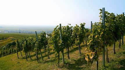 od-outdooraktivitaeten-kroatien-slawonien (jpg) od-outdooraktivitaeten-kroatien-slawonien (jpg)