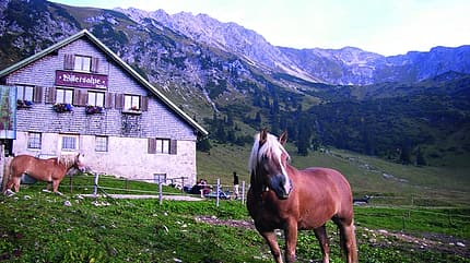 OD-SH-Bayern-2015-Willersalpe OD-SH-Bayern-2015-Willersalpe