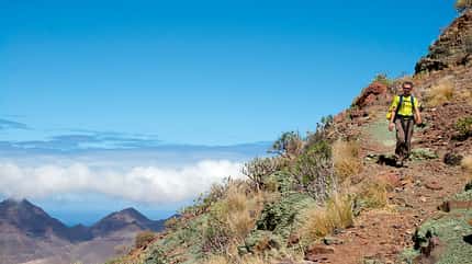 OD Gran Canaria OD Gran Canaria