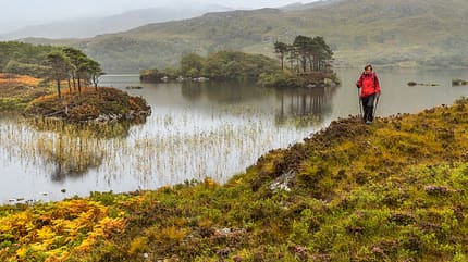 od-0219-schottland-inverpolly-wandern (jpg) od-0219-schottland-inverpolly-wandern (jpg)