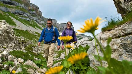 OD_Allgäu_0309_BEN3726 (gif) Gottesacker OD_Allgäu_0309_BEN3726 (gif) Gottesacker