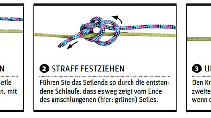 OD 0318 Knoten Spierenstich OD 0318 Knoten Spierenstich