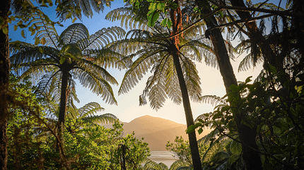 od-1118-neuseeland-queen-charlotte-track-teaser (jpg) od-1118-neuseeland-queen-charlotte-track-teaser (jpg)