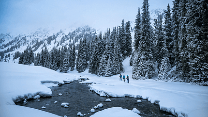 od-2018-skitouren-special-kyrgystan-5 (jpg) od-2018-skitouren-special-kyrgystan-5 (jpg)