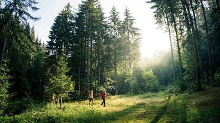 od-0918-baden-wurttemberg-bw-special-schwarzwald-trekking-03 (jpg) od-0918-baden-wurttemberg-bw-special-schwarzwald-trekking-03 (jpg)