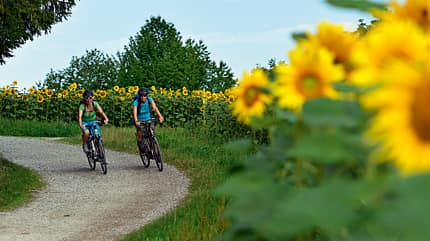 OD 0313 Radfahren Fahrrad radtouren radwanderwege frühjahr frühling OD 0313 Radfahren Fahrrad radtouren radwanderwege frühjahr frühling