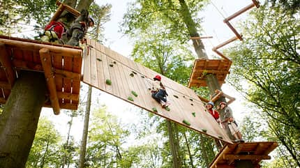 OD Klettersteig im Wald: Hochseilgarten OD Klettersteig im Wald: Hochseilgarten
