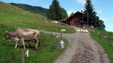OD Weg im Allgäu OD Weg im Allgäu
