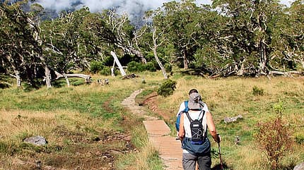 OD La Reunion Wanderweg OD La Reunion Wanderweg