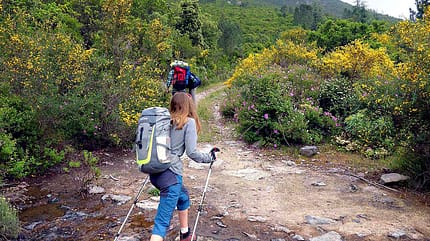 od-0417-leserreportage-korsika-christine-sinterhauf-1 (jpg) od-0417-leserreportage-korsika-christine-sinterhauf-1 (jpg)