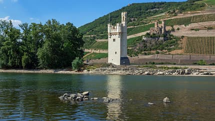 OD 2016 Rhein Burgen Weg Mäuseturm Ruine Ehrenfels OD 2016 Rhein Burgen Weg Mäuseturm Ruine Ehrenfels