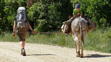 OD 0916 Leserreportage Frankreich Eseltrekking OD 0916 Leserreportage Frankreich Eseltrekking