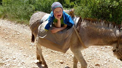 OD 0916 Leserreportage Frankreich Eseltrekking Kind OD 0916 Leserreportage Frankreich Eseltrekking Kind