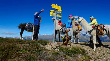 od-2014-lamatrekking-1 (jpg) od-2014-lamatrekking-1 (jpg)