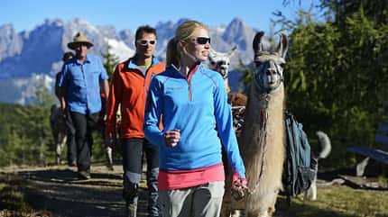 od-2014-lamatrekking-2 (jpg) od-2014-lamatrekking-2 (jpg)