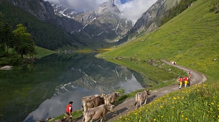 OD Saentis Appenzeller Land 2013 OD Saentis Appenzeller Land 2013