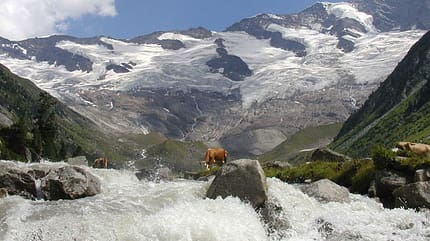 OD 0111 Reise Nationalparks Oesterreich Hohe Tauern (jpg) OD 0111 Reise Nationalparks Oesterreich Hohe Tauern (jpg)