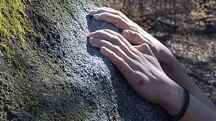 KL_Haut_Petrohrad141490_J_Geldard (jpg) KL_Haut_Petrohrad141490_J_Geldard (jpg)