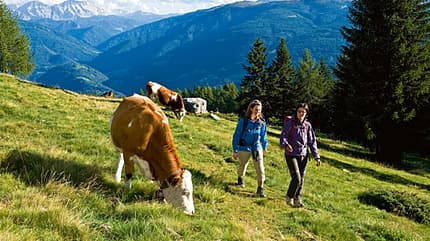 OD 0610 Südtirol Kronplatz 7 OD 0610 Südtirol Kronplatz 7