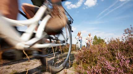 OD Radweg Lüneburger Heide OD Radweg Lüneburger Heide
