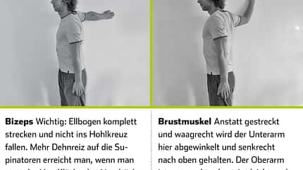 KL_Verletzungen_Brust-Dehnen_SChema (jpg) KL_Verletzungen_Brust-Dehnen_SChema (jpg)