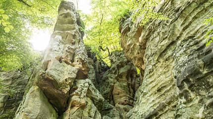 od-2017-rheinland-pfalz-special-dominik-ketz.10731 (jpg) od-2017-rheinland-pfalz-special-dominik-ketz.10731 (jpg)