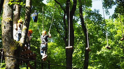 od-2017-rheinland-pfalz-special.Kletterwald Bad Marienberg 2_(c)_G.Frijio (jpg) od-2017-rheinland-pfalz-special.Kletterwald Bad Marienberg 2_(c)_G.Frijio (jpg)
