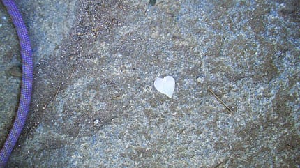 KL-nettsein-HeartInRoviste (jpg) KL-nettsein-HeartInRoviste (jpg)