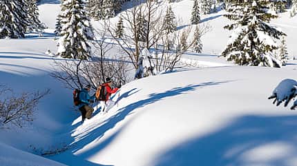 OD-Allgaeu-_BEN0925 (jpg) OD-Allgaeu-_BEN0925 (jpg)